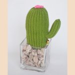 Cubic Long Cactus-Pink