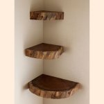 Trunk shelves
