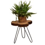 Sisso side table